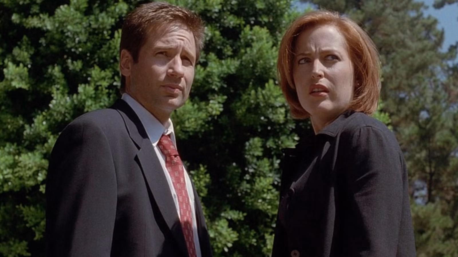 mulder-scully-the-x-files-dreamland-2.jpg