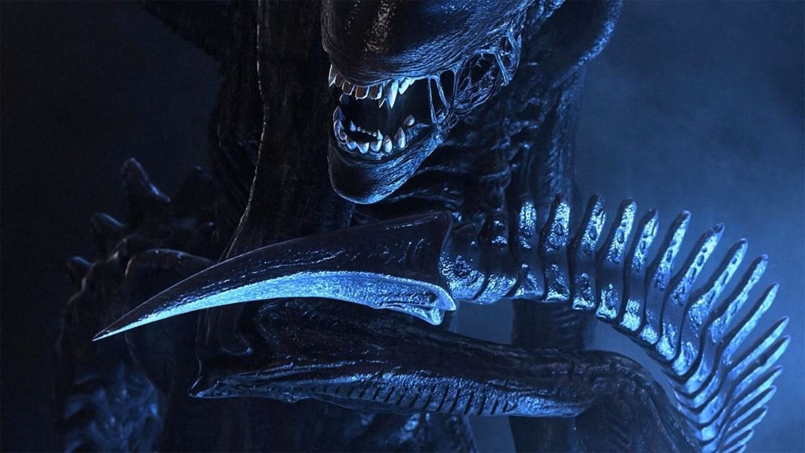 Xenomorph1.jpeg