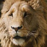 aslan.jpg