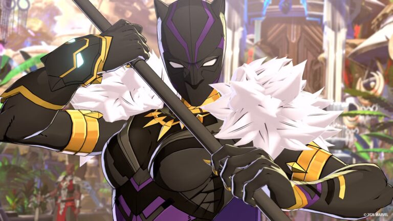black-panther-marvel-tokon.jpg