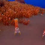 subnautica-2-combat-no-killing-creatures.jpg